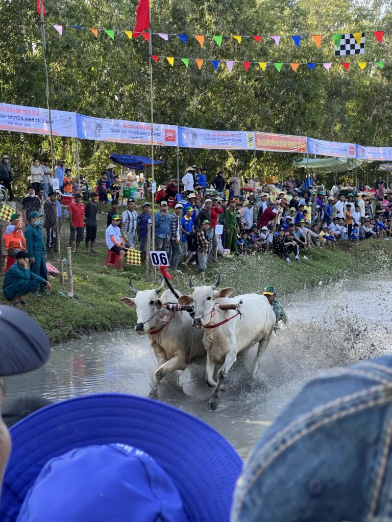 The Not Hotlist 2025: Khám Phá Những "Viên Ngọc Ẩn" Tuyệt Đẹp Của Việt Nam