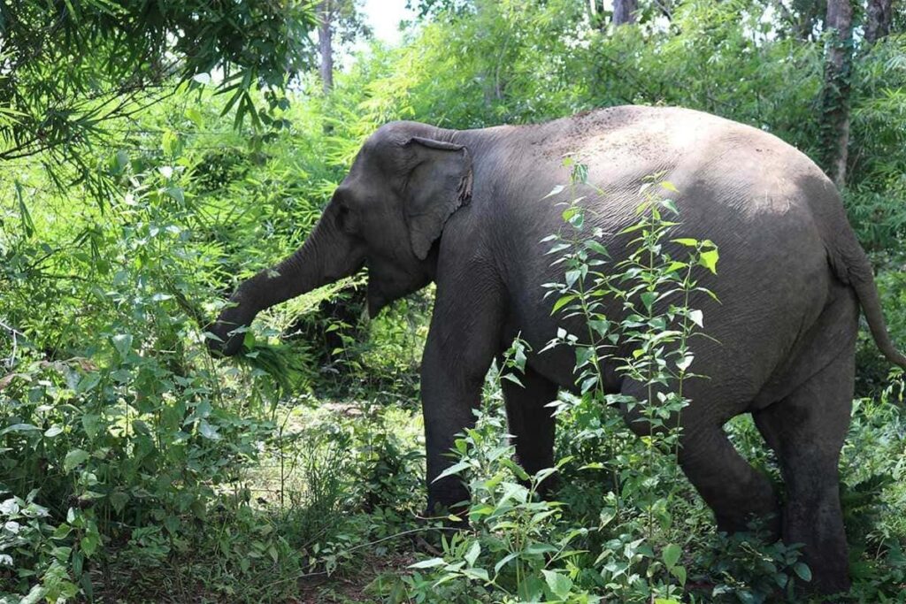 The Not Hotlist 2025: Khám Phá Những "Viên Ngọc Ẩn" Tuyệt Đẹp Của Việt Nam